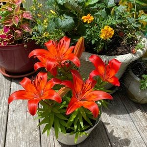 Meet your Posher, Matthew